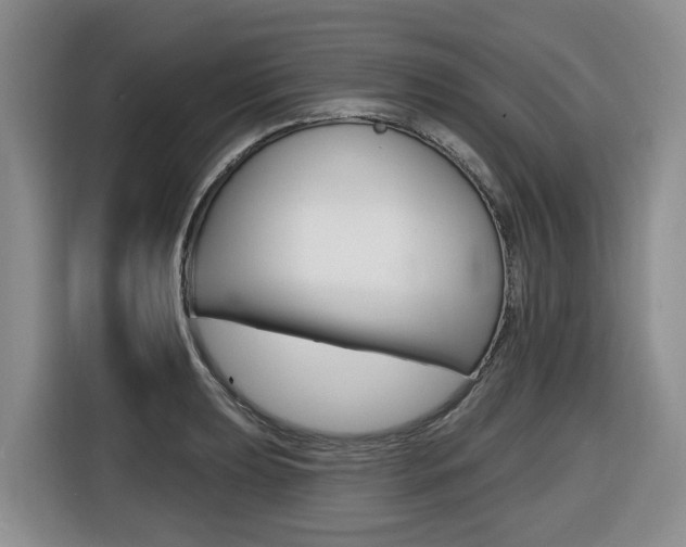 X0000116511039200912090943