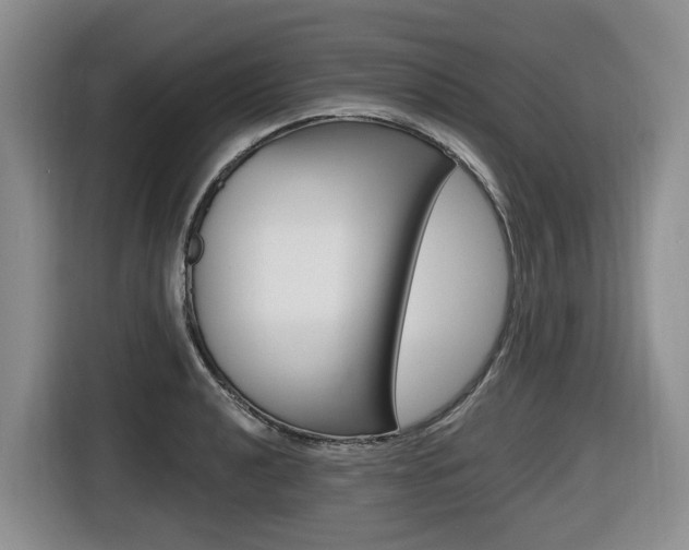 X0000116511040200912090943