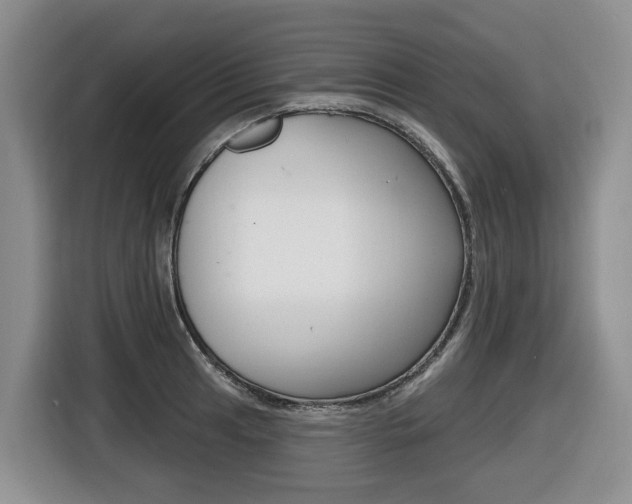 X0000116511041200912090943