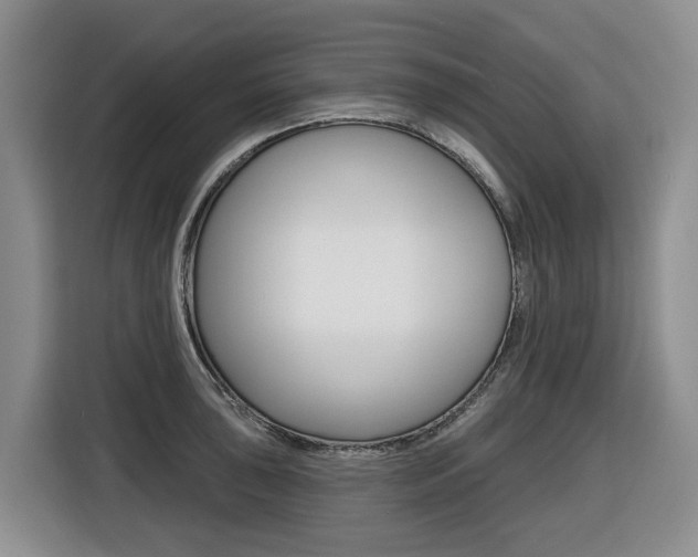 X0000116511043200912090943