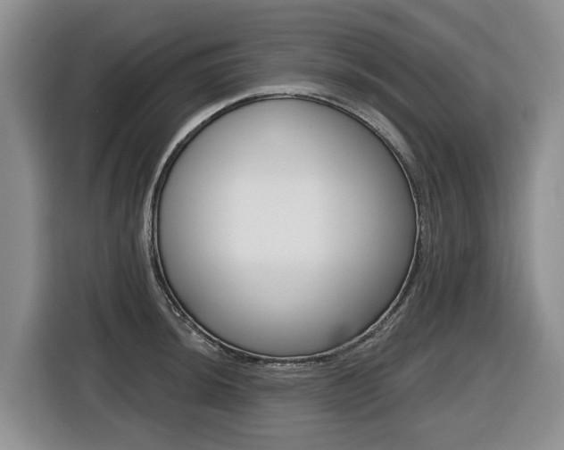 X0000116511044200912090943