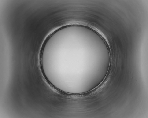 X0000116511045200912090943