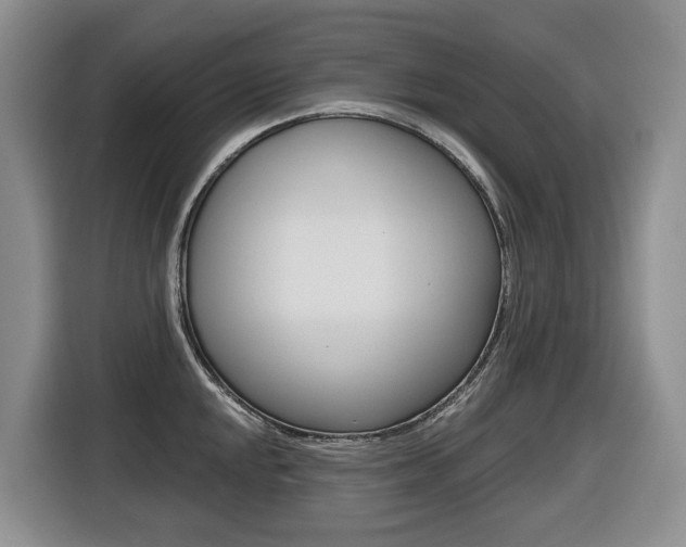 X0000116511048200912090943