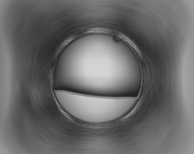 X0000116511049200912090943