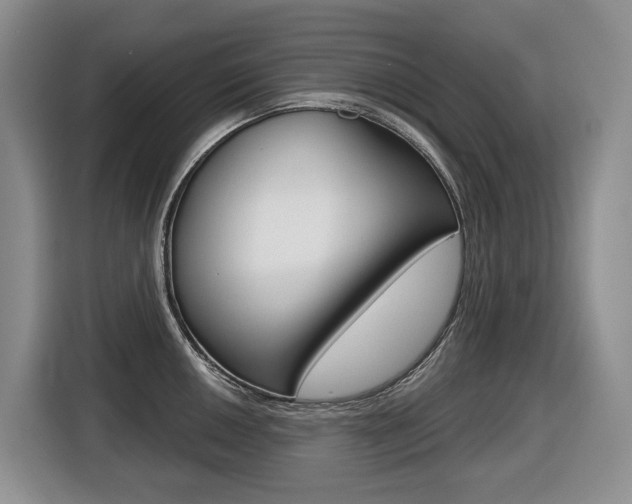 X0000116511050200912090943