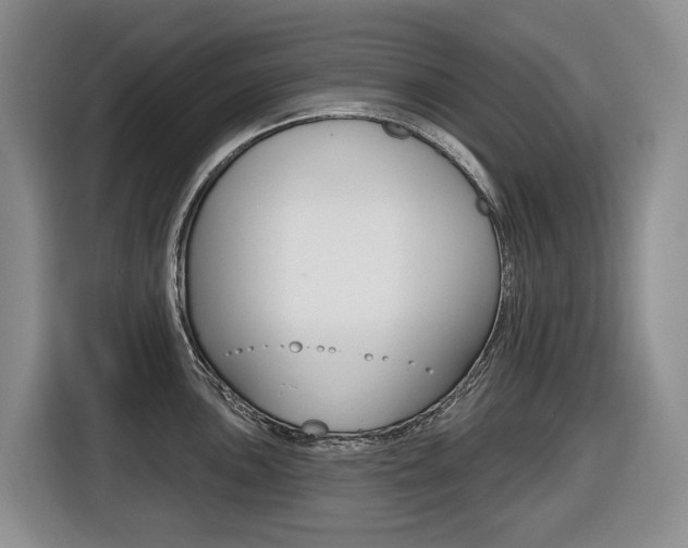 X0000116511051200912090943