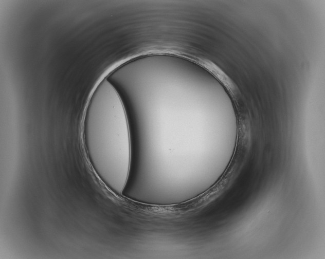 X0000116511052200912090943