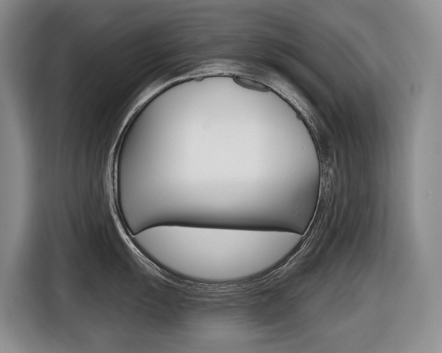 X0000116511055200912090943