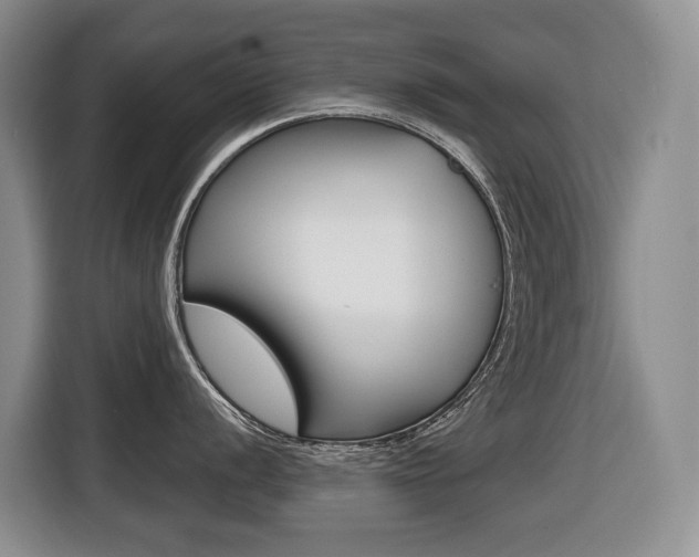 X0000116511056200912090943