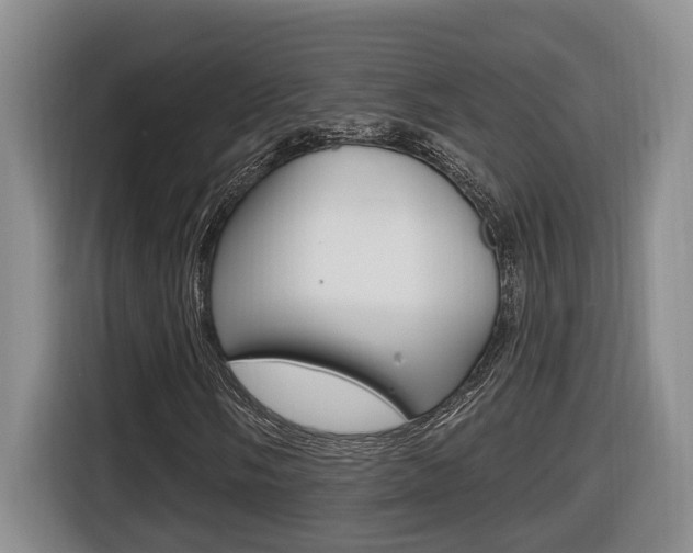 X0000116511058200912090943