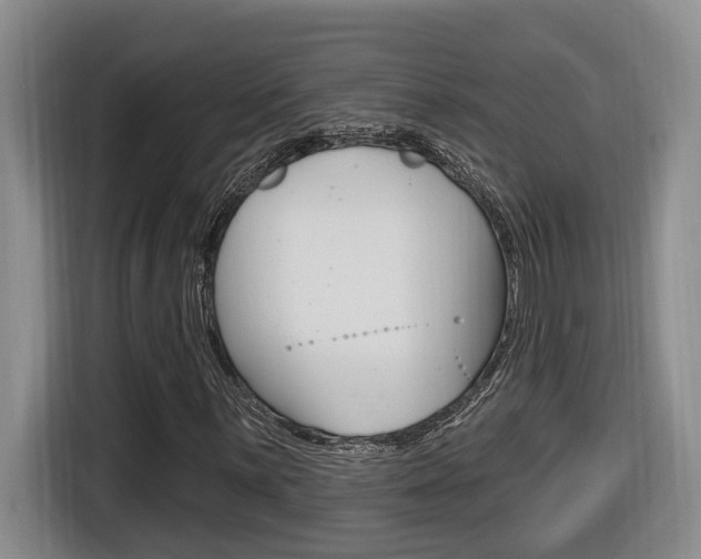 X0000116511059200912090943