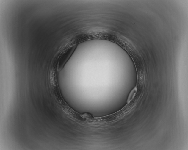 X0000116511060200912090943