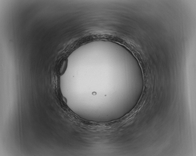 X0000116511061200912090943