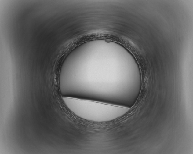 X0000116511062200912090943