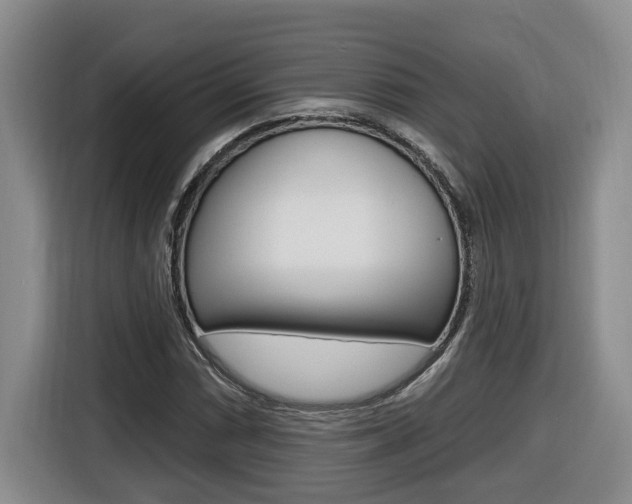X0000116511066200912090943