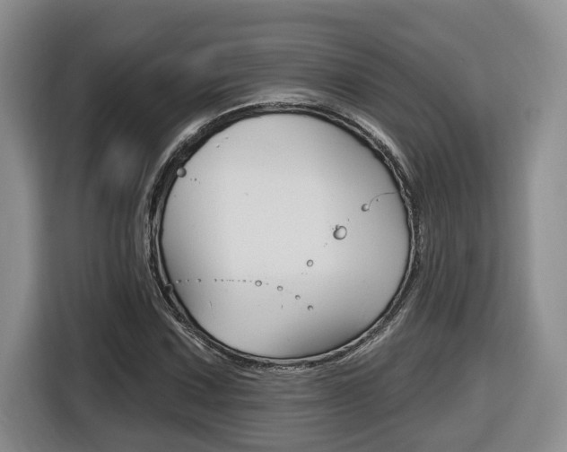 X0000116511067200912090943
