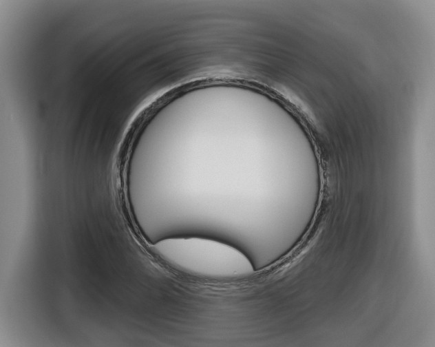 X0000116511070200912090942