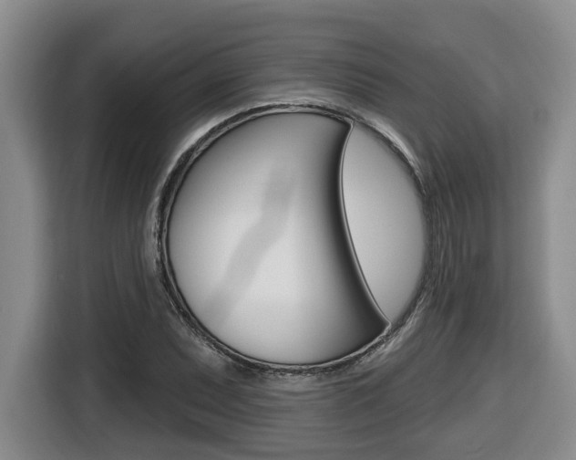 X0000116511071200912090942