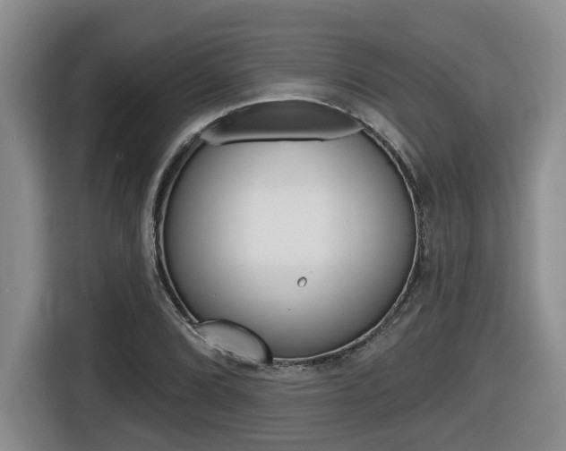 X0000116511072200912090942