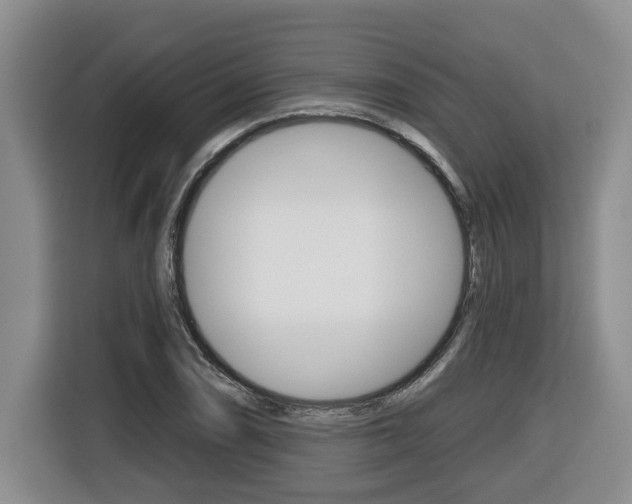 X0000116511074200912090942