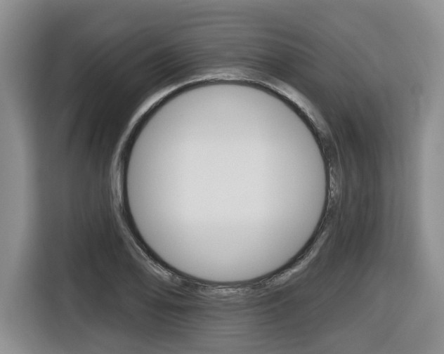 X0000116511078200912090942