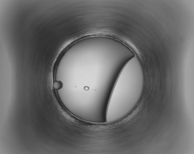 X0000116511079200912090942