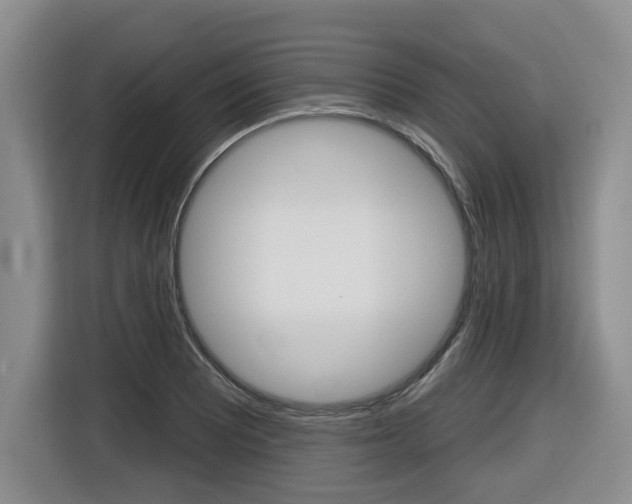 X0000116511081200912090942