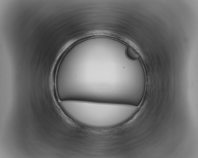 X0000116511082200912090942
