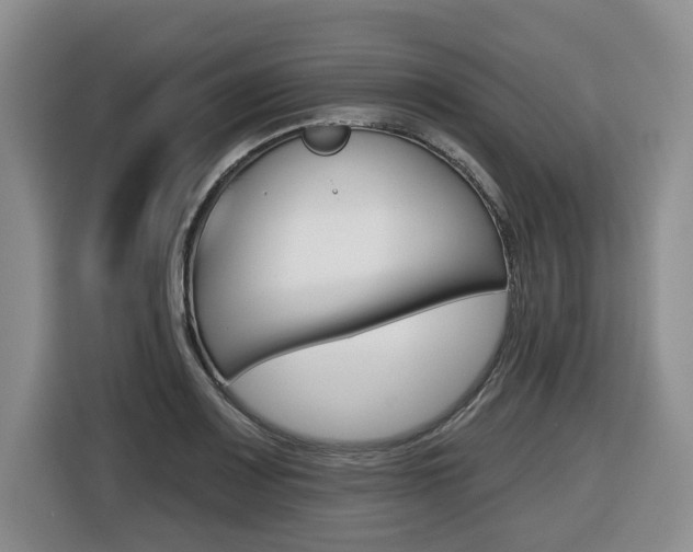X0000116511083200912090942