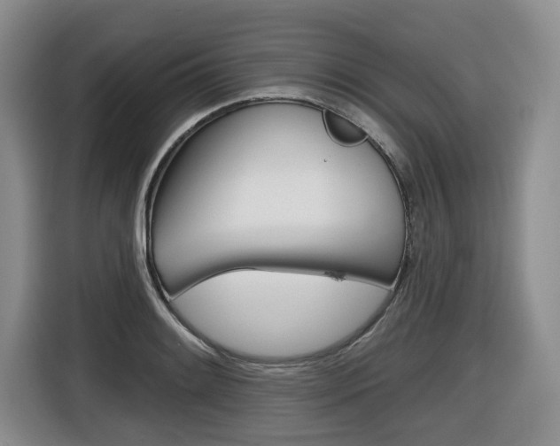 X0000116511084200912090942