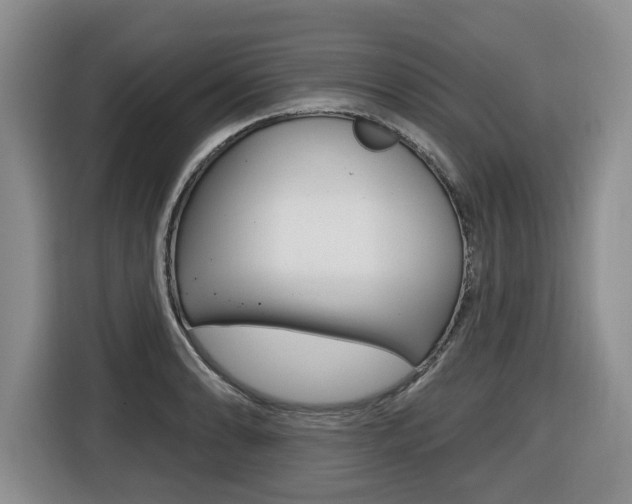 X0000116511086200912090942