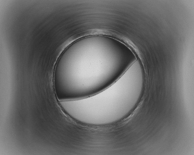 X0000116511089200912090942