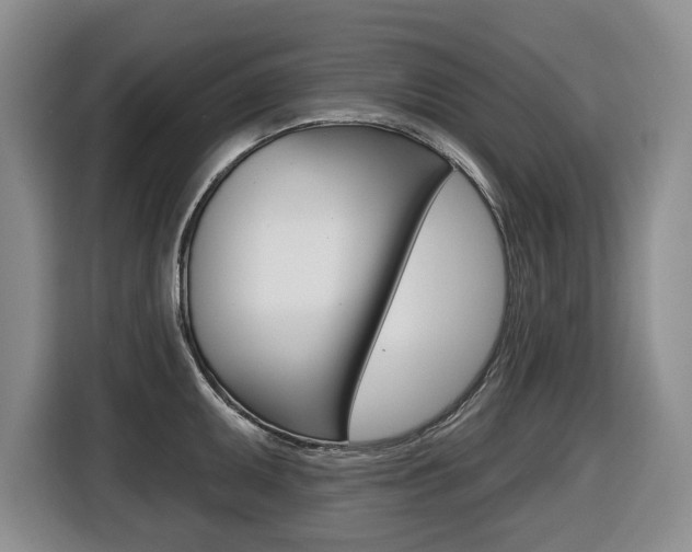 X0000116511095200912090942