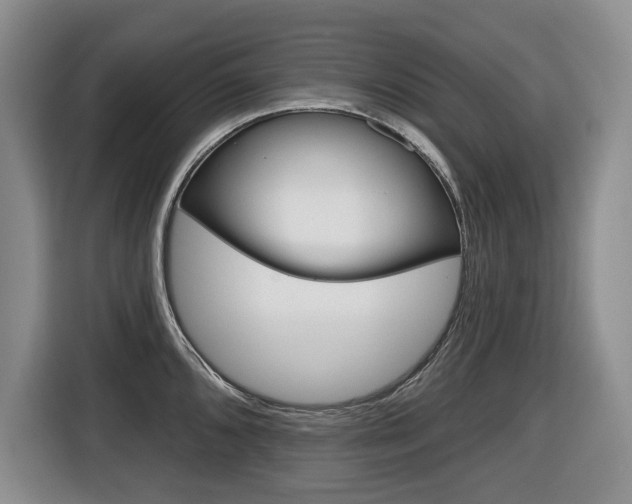 X0000116511096200912090942