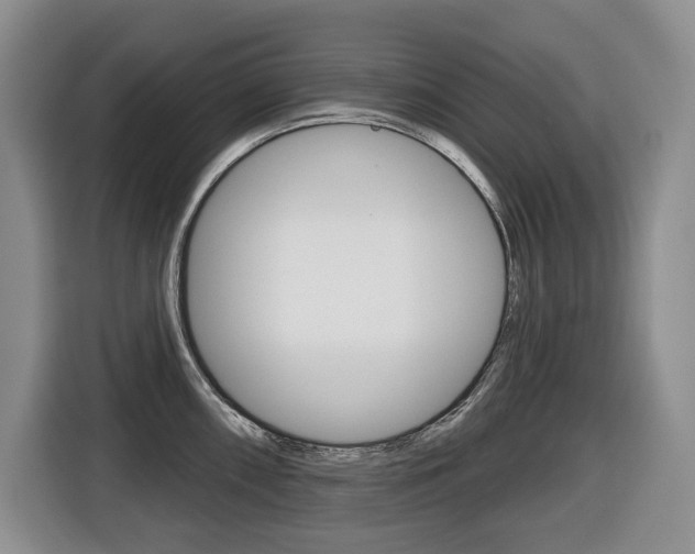 X0000116511098200912090942