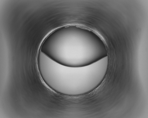 X0000116511100200912090942