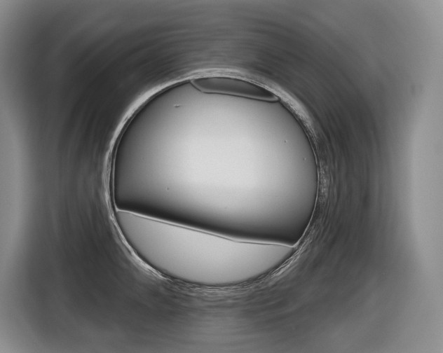X0000116511102200912090942