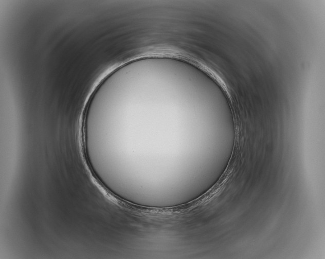 X0000116511103200912090942