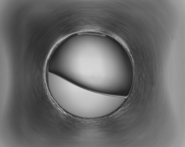 X0000116511104200912090942