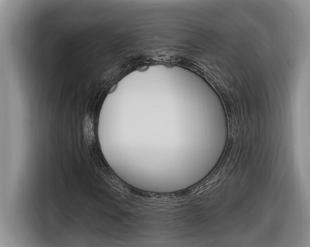 X0000116511106200912090941