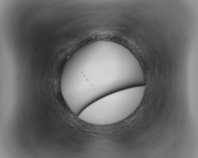 X0000116511109200912090941