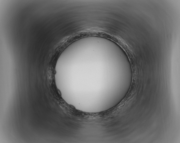 X0000116511110200912090941