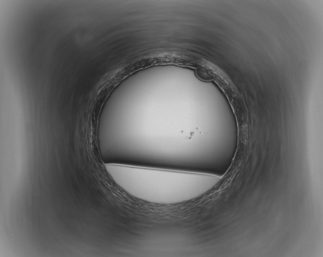X0000116511111200912090942