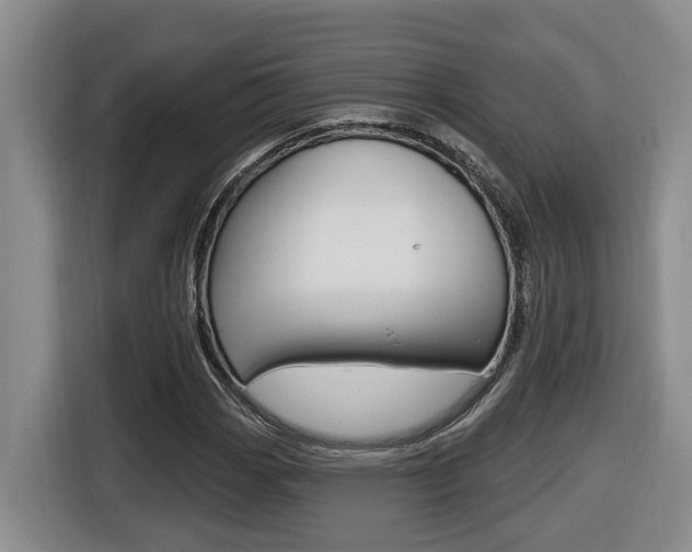 X0000116511113200912090942