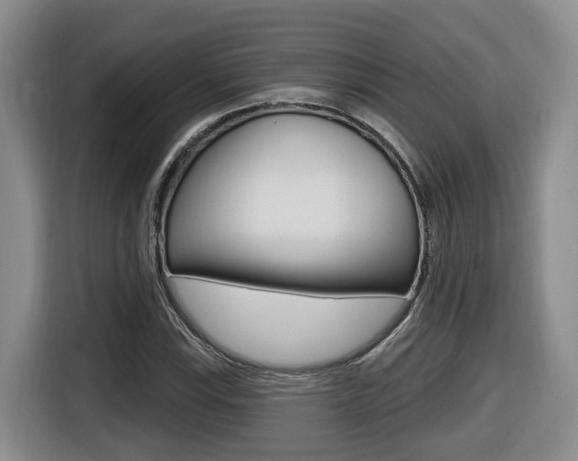 X0000116511115200912090942