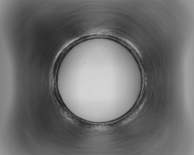 X0000116511117200912090942