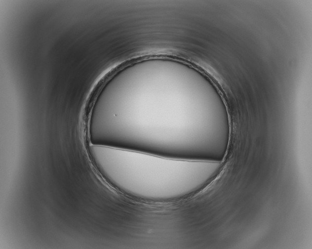 X0000116511119200912090942