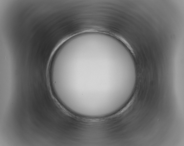 X0000116511122200912090942