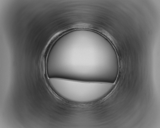 X0000116511123200912090942