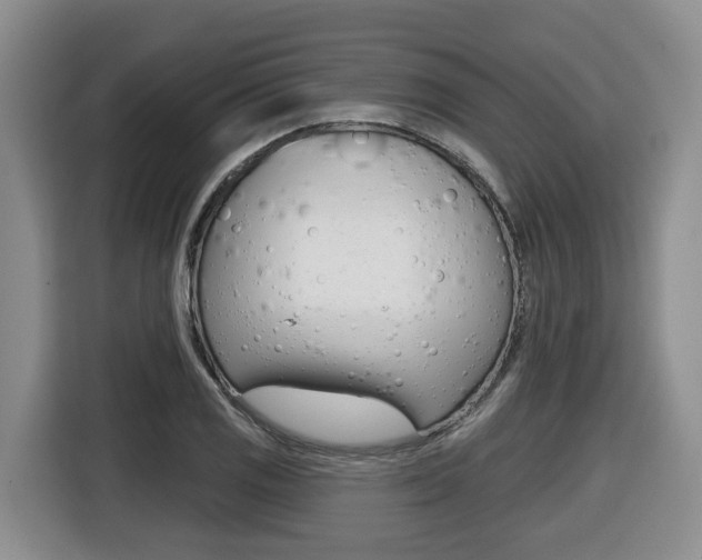 X0000116511125200912090942
